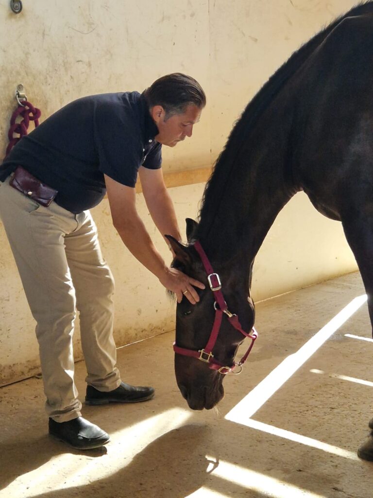 Prof. Robert Stodulka -Equine Hypnosis